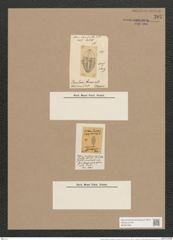 Navicula nitescens (primularia arra niensis) Rs./O.M. (de-Toni-Nr.: Genus 1, Species 301) Zeichnungen Sammlung Grunow Nr. 707 (NHMW-BOT-W0367085)